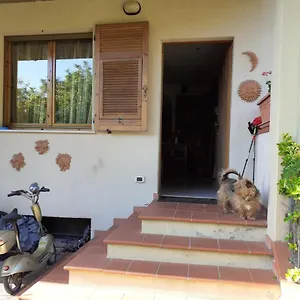 La Casa Di Berenice A Affittacamere